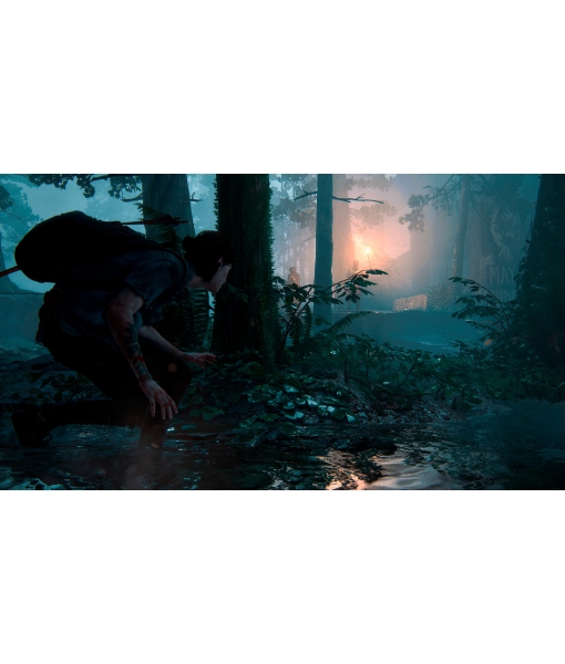 Одни из нас 2 / The Last of Us Part II игра PS4 & PS5