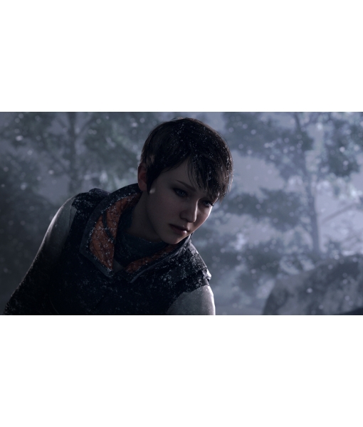 Detroit: Стать человеком (Become Human)