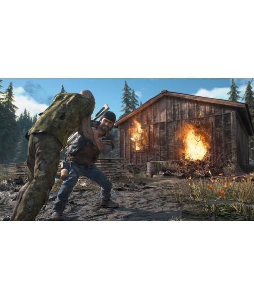 Жизнь после | Days Gone