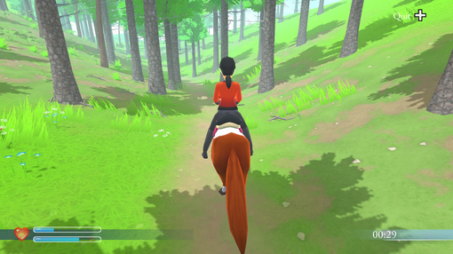 Моя конюшня: жизнь с лошадьми